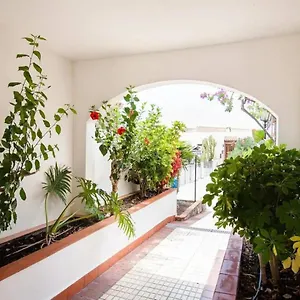 1-bedroom-apartment-for-4-people-in-tenerife.tenerifehoteles.net/